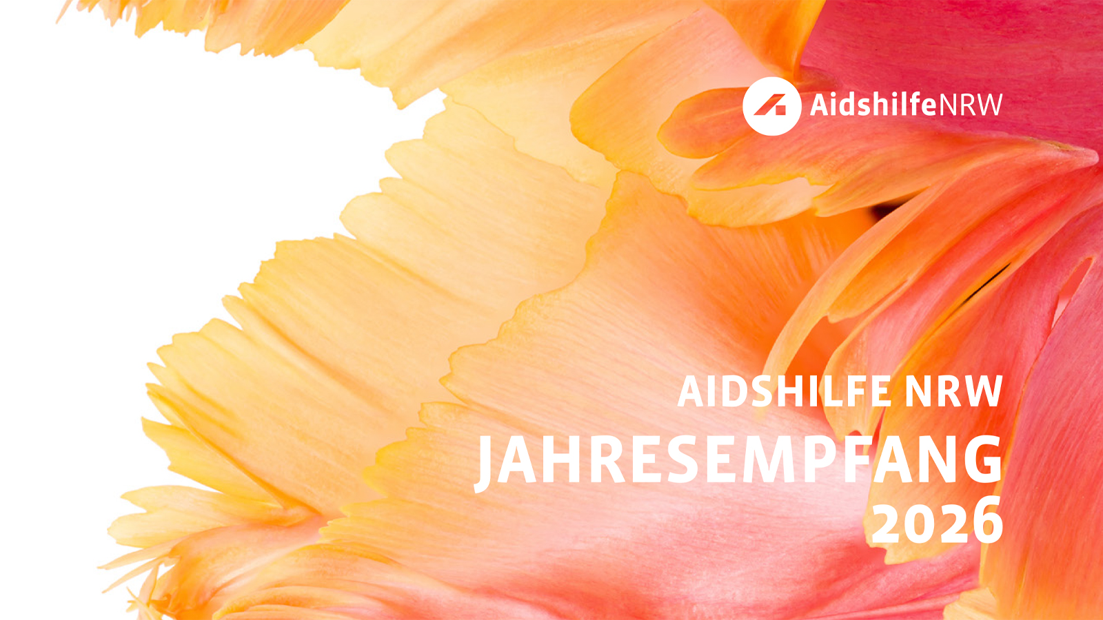 Foto: AndreaObzerova | istockphoto.com